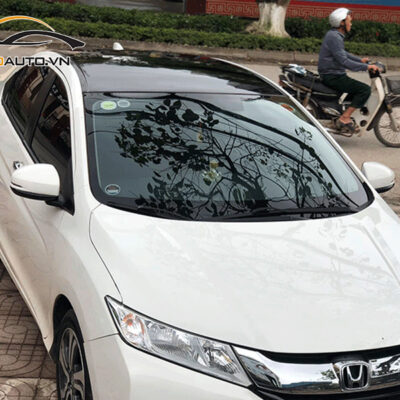 dan ppf xe honda city h5 1