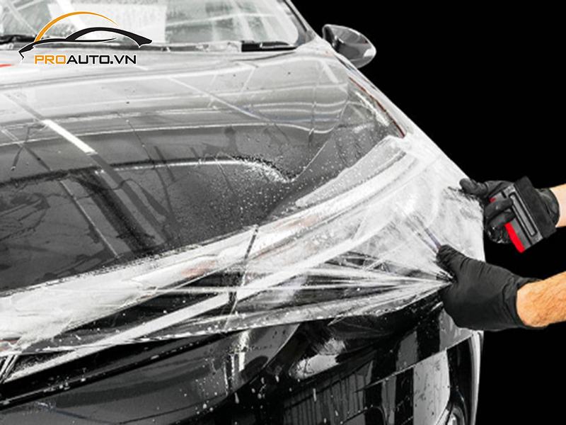 Dán phim PPF xe Kia Sedona