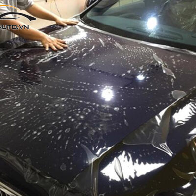 dan ppf xe toyota Prado 1 1