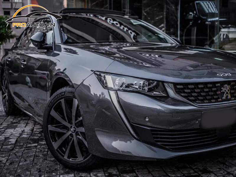 dna ppf xe Peugeot 508 4