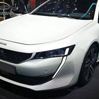 dna ppf xe Peugeot 508 7 1