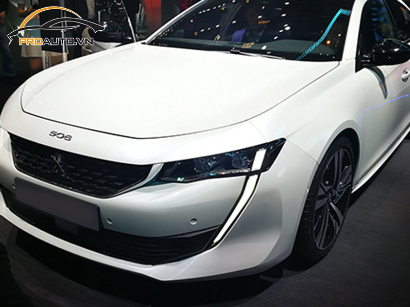 dna ppf xe Peugeot 508 7