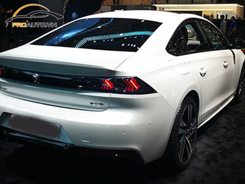 dna ppf xe Peugeot 508 9