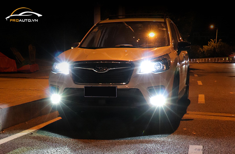 Độ đèn tăng sáng cho xe Subaru Forester 2024