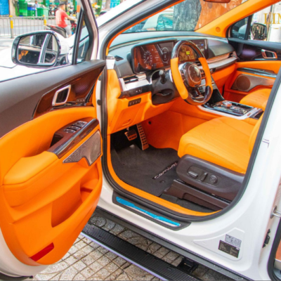 Độ Nội Thất Kia Carnival 