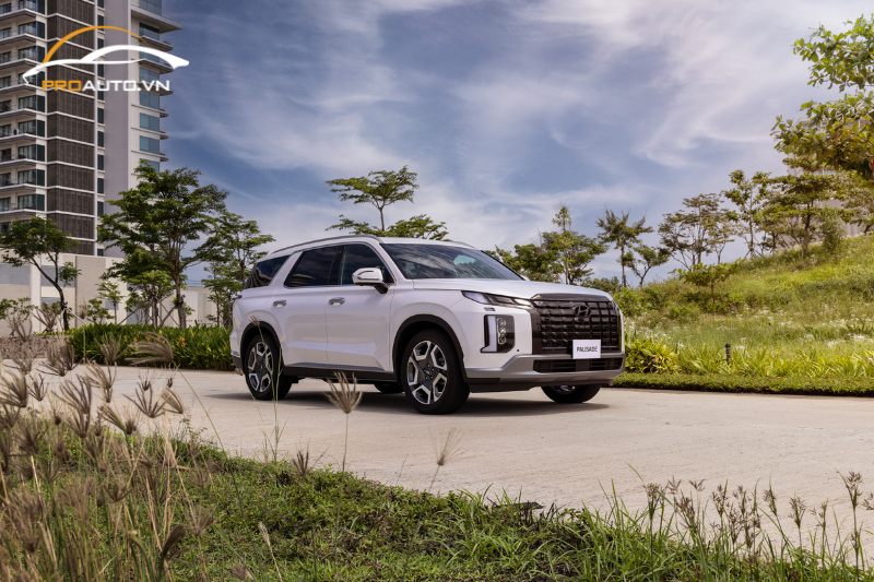 Độ sàn xe Hyundai Palisade: Kinh nghiệm độ sàn 