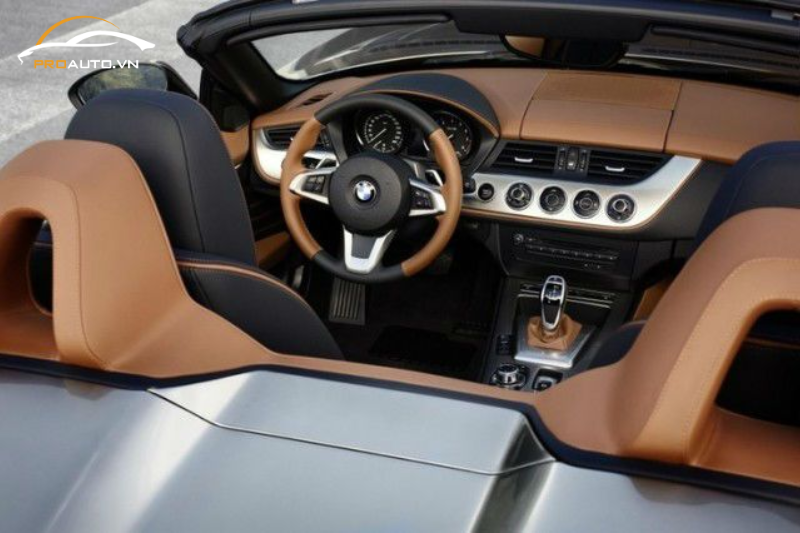 Đổi màu cột A, B, C cho xe BMW Z4