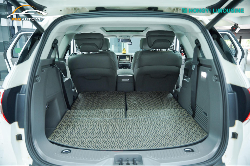 Đổi màu cột A, B, C cho xe Ford Ecosport