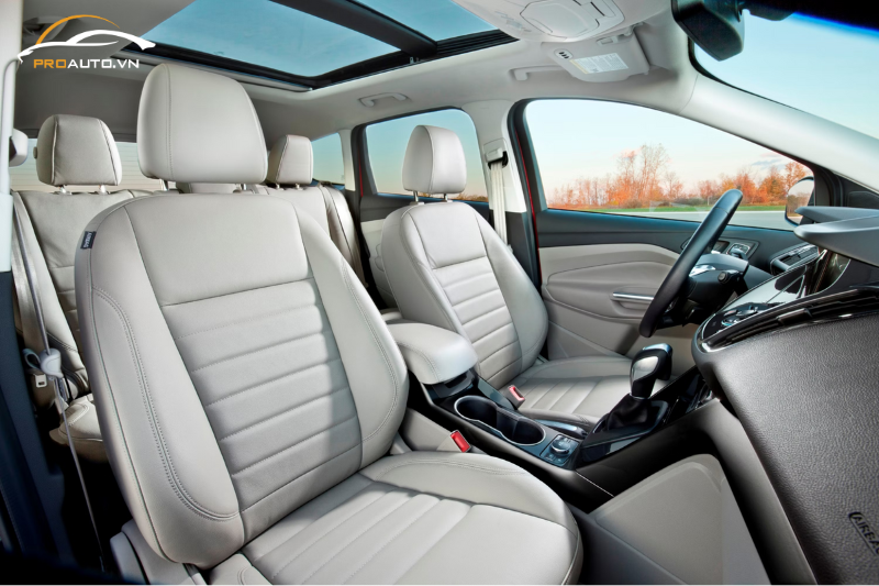 Đổi màu cột A, B, C cho xe Ford Escape