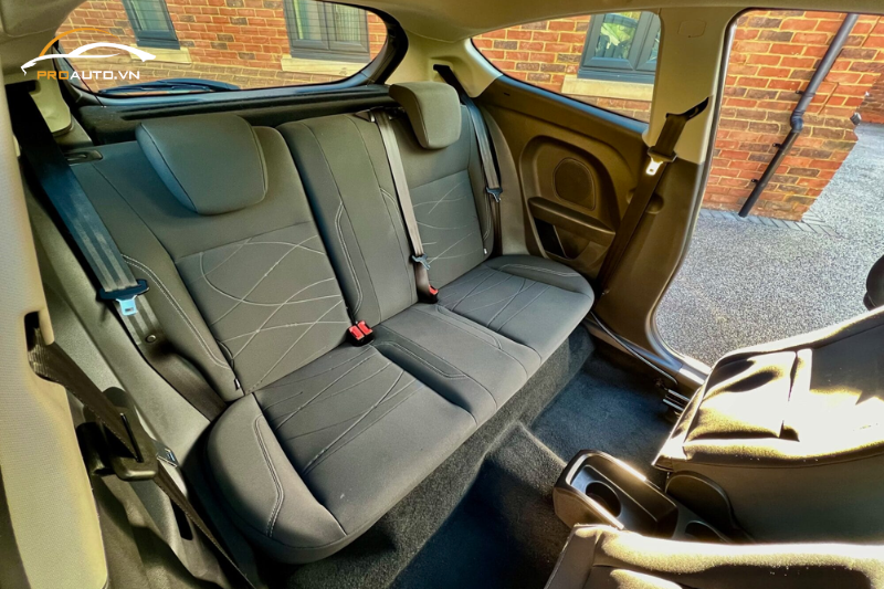 Đổi màu cột A, B, C cho xe Ford Fiesta