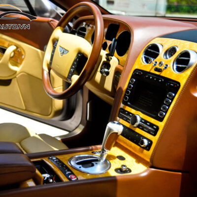 doi mau noi that xe ford ecosport h1 2