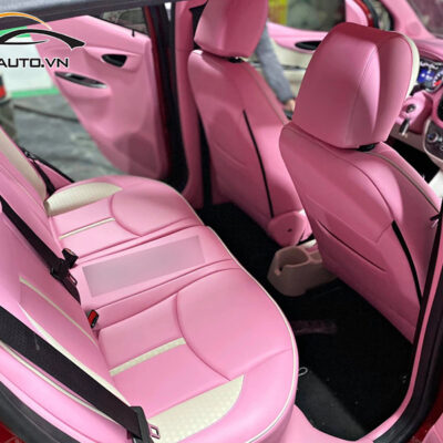 doi mau noi that xe vinfast fadil h2 1