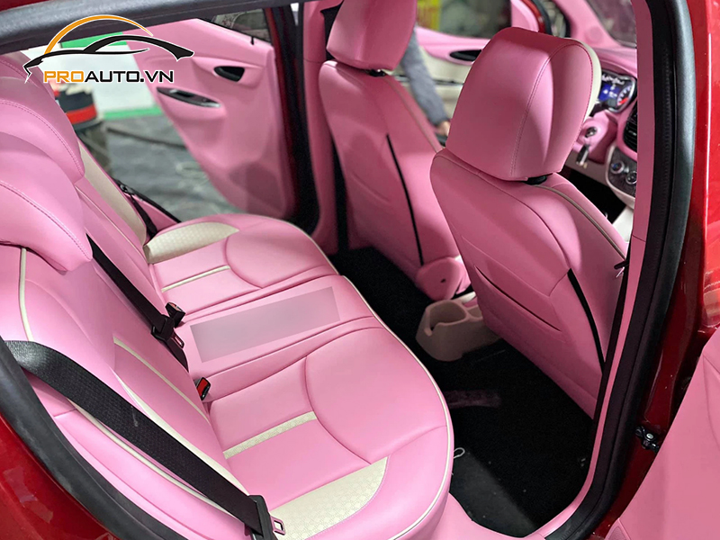 Đổi Màu Nội Thất Vinfast Fadil - Ảnh 5