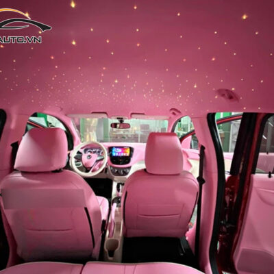 doi mau noi that xe vinfast fadil h3 1