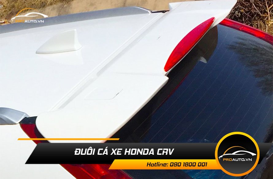 duoi ca xe honda crv