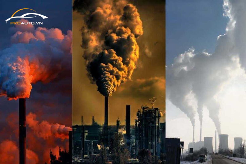 Hóa nhựa lòng vè giúp chống lại tác động tiêu cực của môi trường 