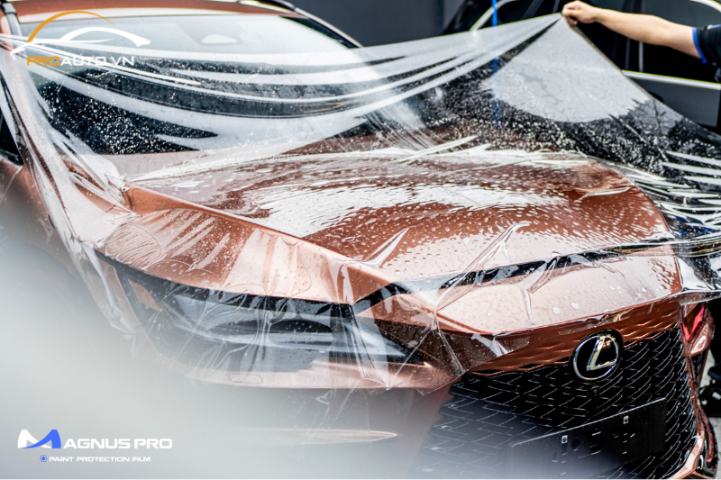 ky thuat vien dan ppf cho o to nhieu nam kinh nghiem