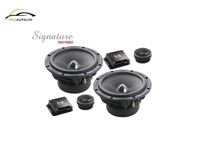 Loa 2 way BLAM S165.100