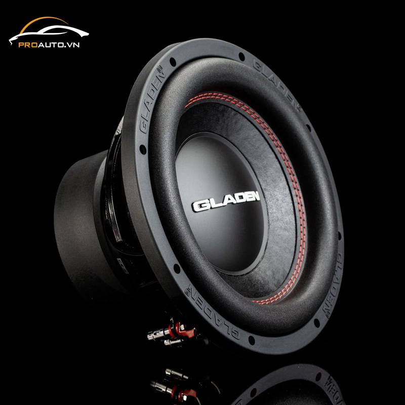 Loa Subwoofer RS-X 10