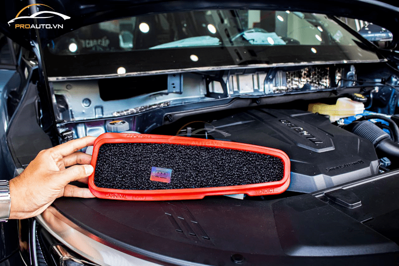 Lưới lọc chống chuột Carnival