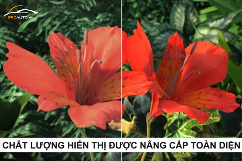 Màn hình 2K hiển thị sắc nét tạo ra những hình ảnh đẹp mắt và sắc nét