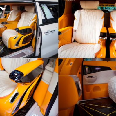 mau xe carnival do limousine mau cam kem 1