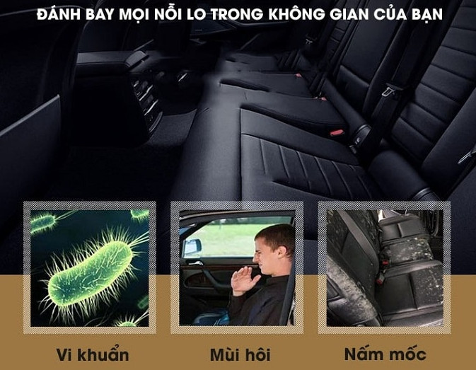 Loại bỏ nấm mốc, chất gây dị ứng
