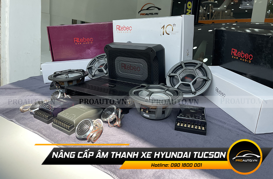 Gắn, thay, độ loa và sub điện xe