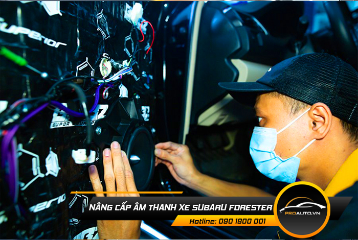 nang cap am thanh xe suzuki forester
