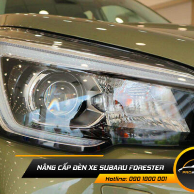 nang cap den xe suzuki forester 1