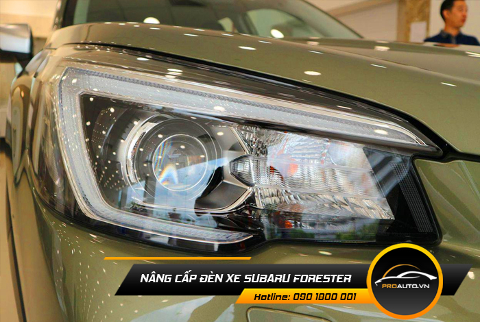 nang cap den xe suzuki forester