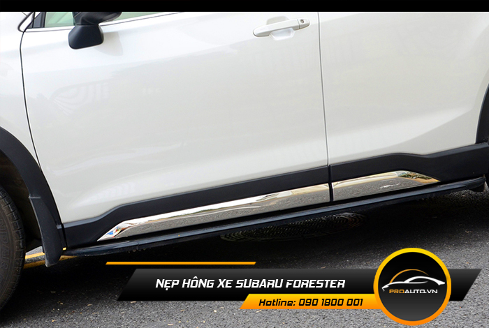 nep hong xe suzuki forester