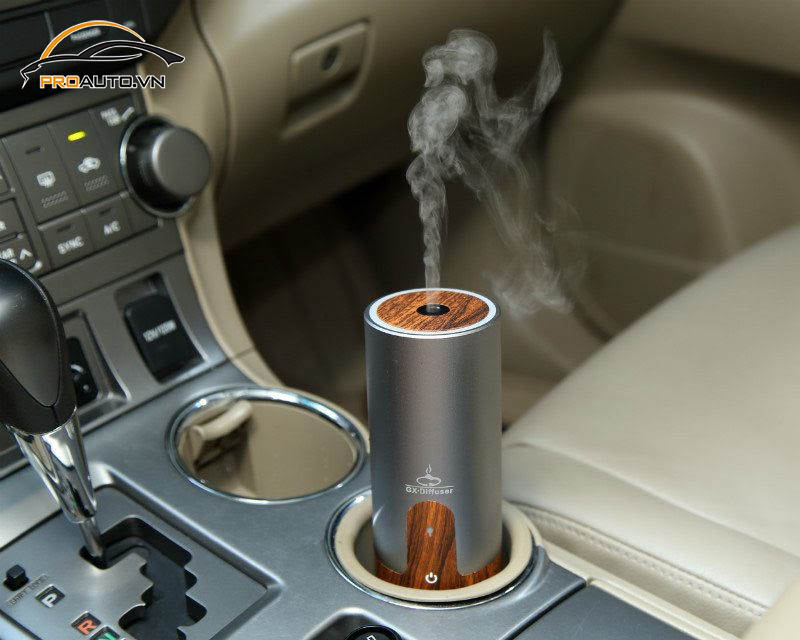 Giúp giảm triệu chứng say xe