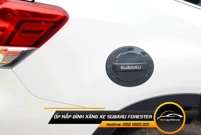 op nap binh xang xe suzuki forester