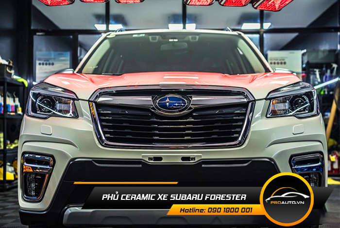 phu ceramic xe suzuki forester