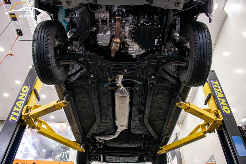 Xịt Phủ Gầm StP - Ảnh 5