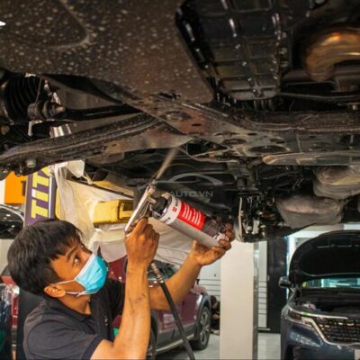 son phu gam wurth cho xe kia carnival