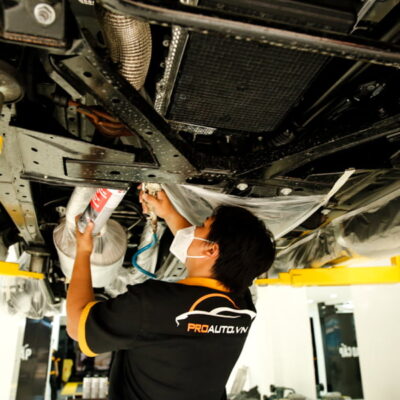 son phu gam xe ford everest h31 1