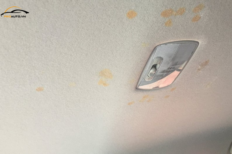 Trần xe ô tô dễ bị bám bụi, ẩm mốc do nước mưa