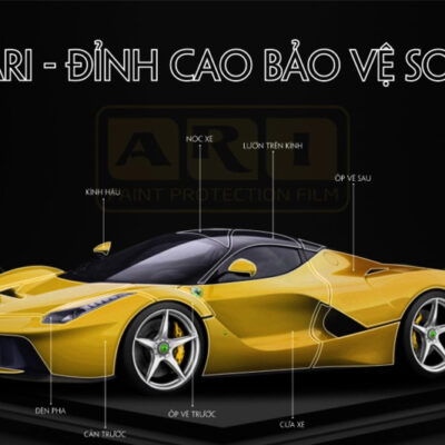 vi tri dan ppf ari cho o to