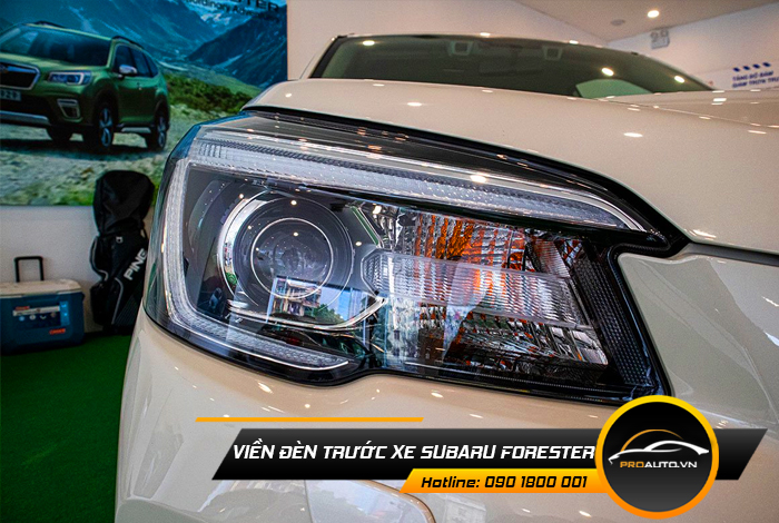 vien den truoc xe suzuki forester