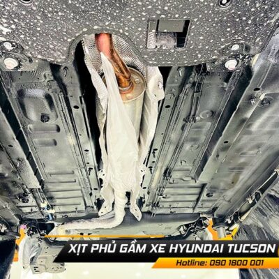 xit phu gam tucson 1