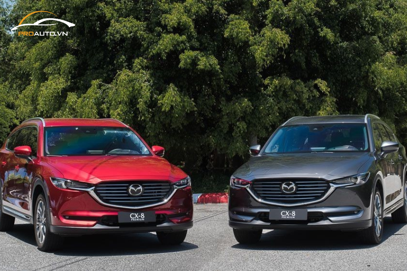 Giá dán PPF nội thất cho xe Mazda CX8 mới nhất 