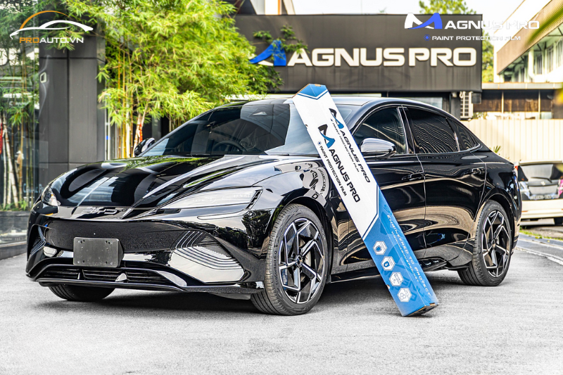 Dán PPF Magnus Pro với dòng xe Sedan BYD