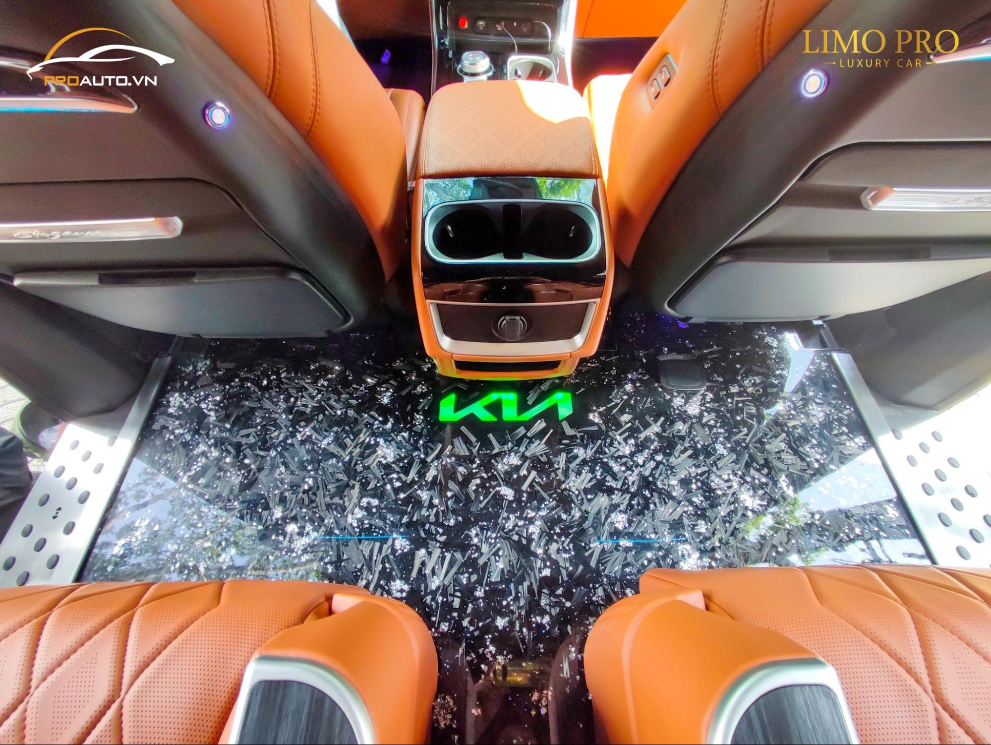 Độ sàn carbon Kia Carnival