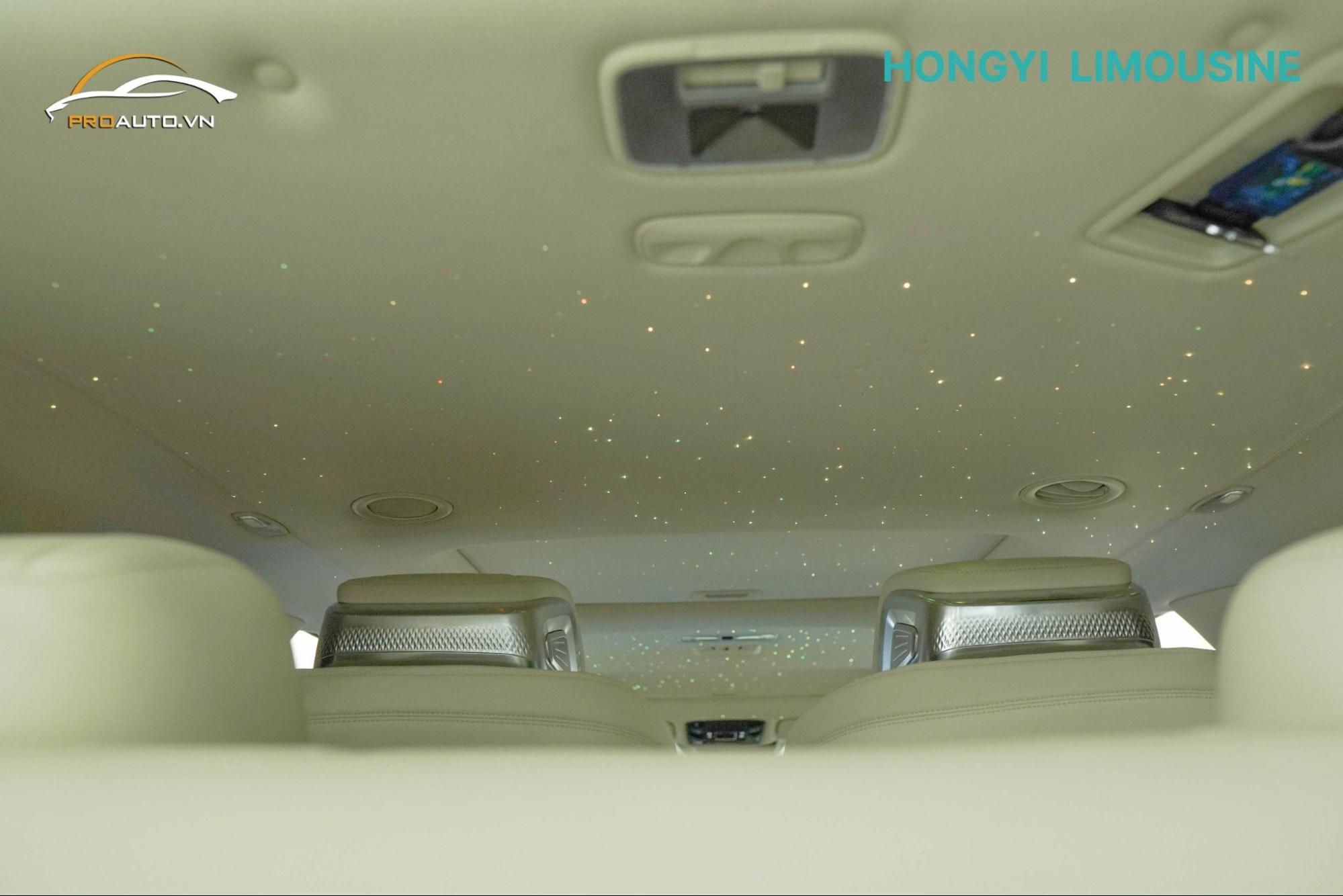 Độ trần ánh sao Kia Carnival