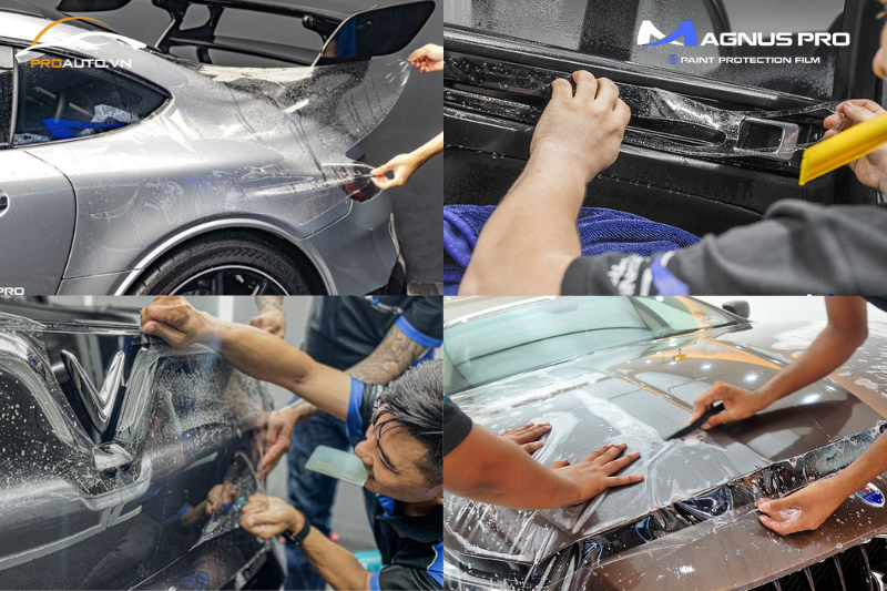 Quy trình thi công dán PPF Magnus Pro