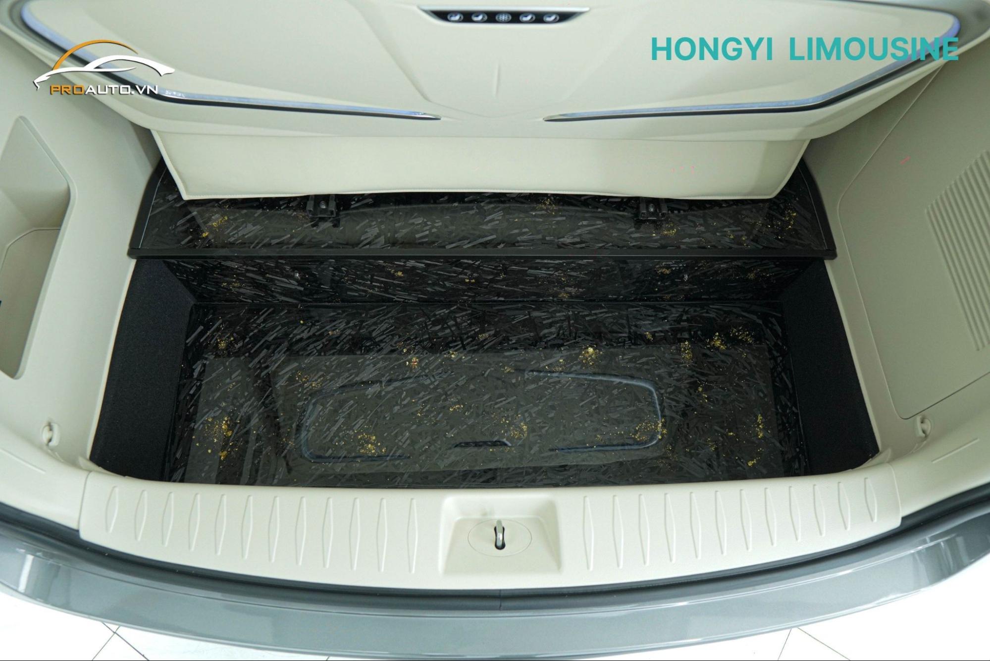 Sàn carbon cho Kia Carnival