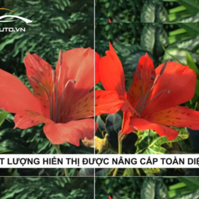 Bravigo BX8 – Không gian sắc màu sang trọng, đậm dấu ấn công nghệ 2K