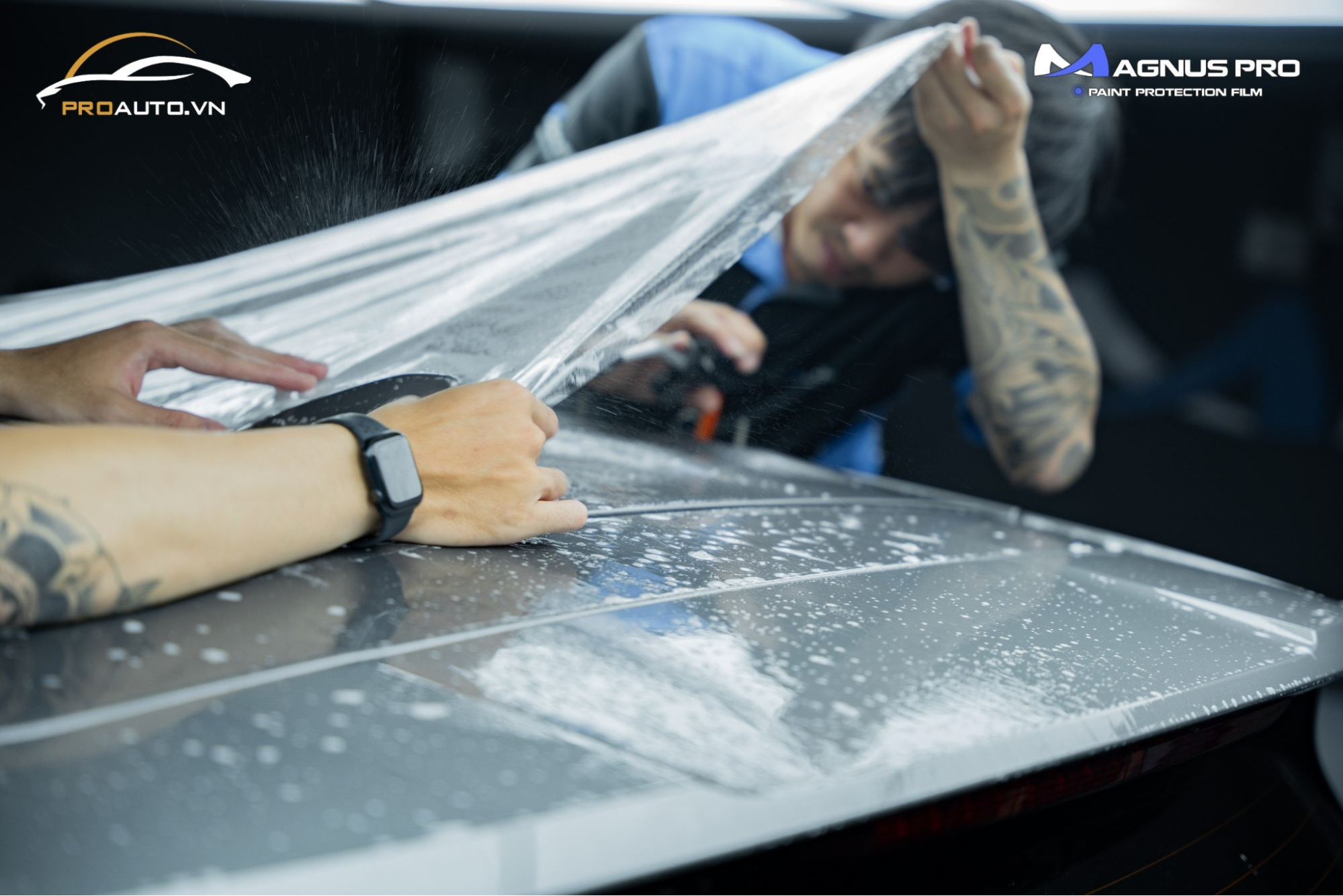 Dán PPF Magnus Pro cho Kia Carnival